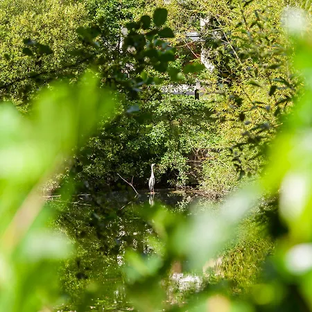 Отель Crowne Plaza Dublin Airport By Ihg 4*