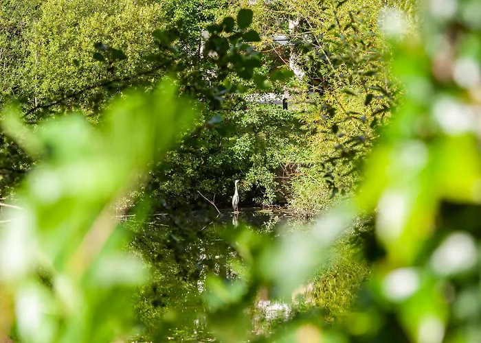 Hotel Crowne Plaza Dublin Airport By Ihg 4*