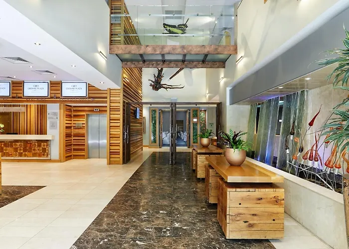 Crowne Plaza Dublin Airport By Ihg 4*